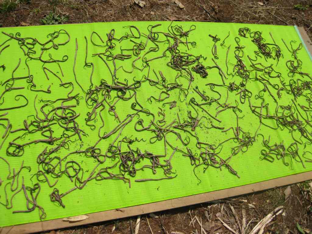 �m�d�s�R�x��h�g�`�k�t�h