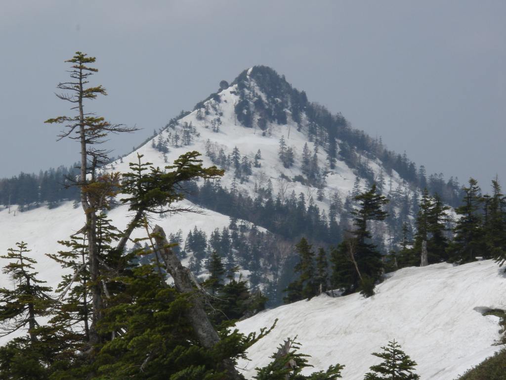 �m�d�s�R�x��h�g�`�k�t�h