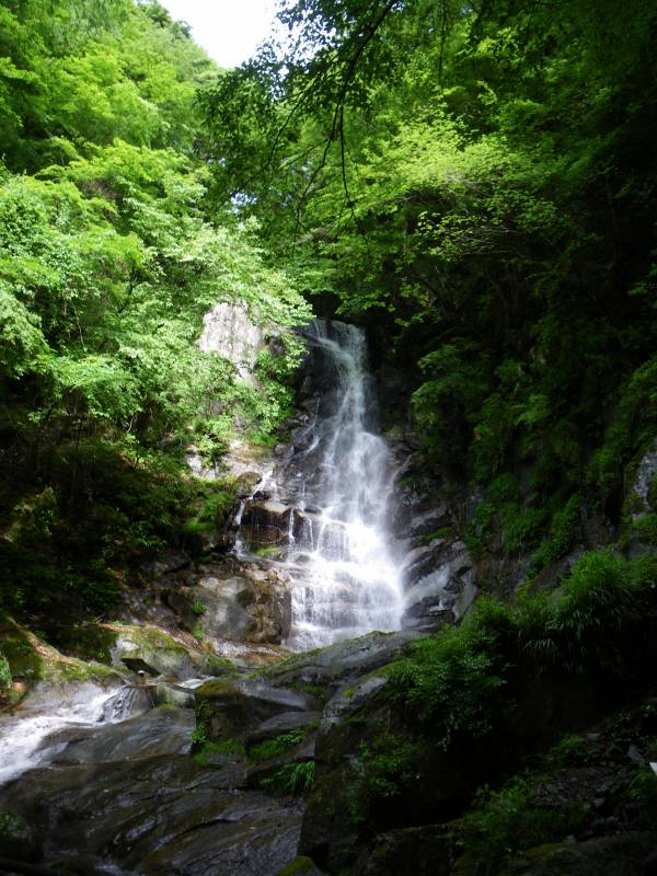 �m�d�s�R�x��h�g�`�k�t�h