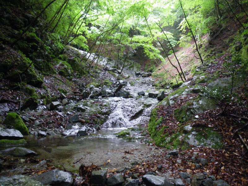 �m�d�s�R�x��h�g�`�k�t�h