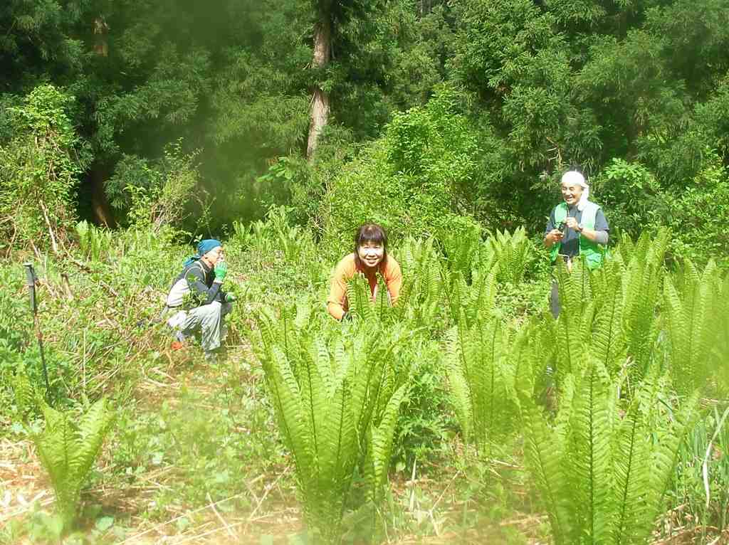 �m�d�s�R�x��h�g�`�k�t�h