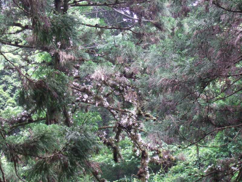 �m�d�s�R�x��h�g�`�k�t�h