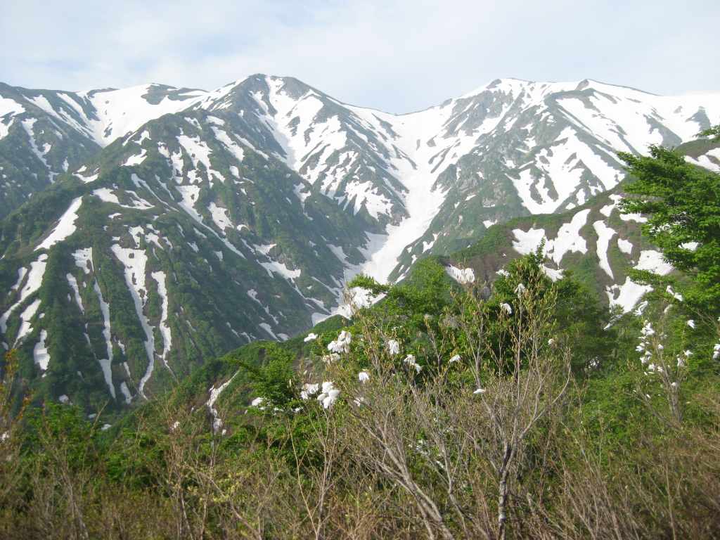 �m�d�s�R�x��h�g�`�k�t�h