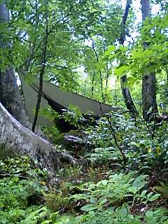 �m�d�s�R�x��h�g�`�k�t�h