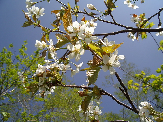 �m�d�s�R�x��h�g�`�k�t�h