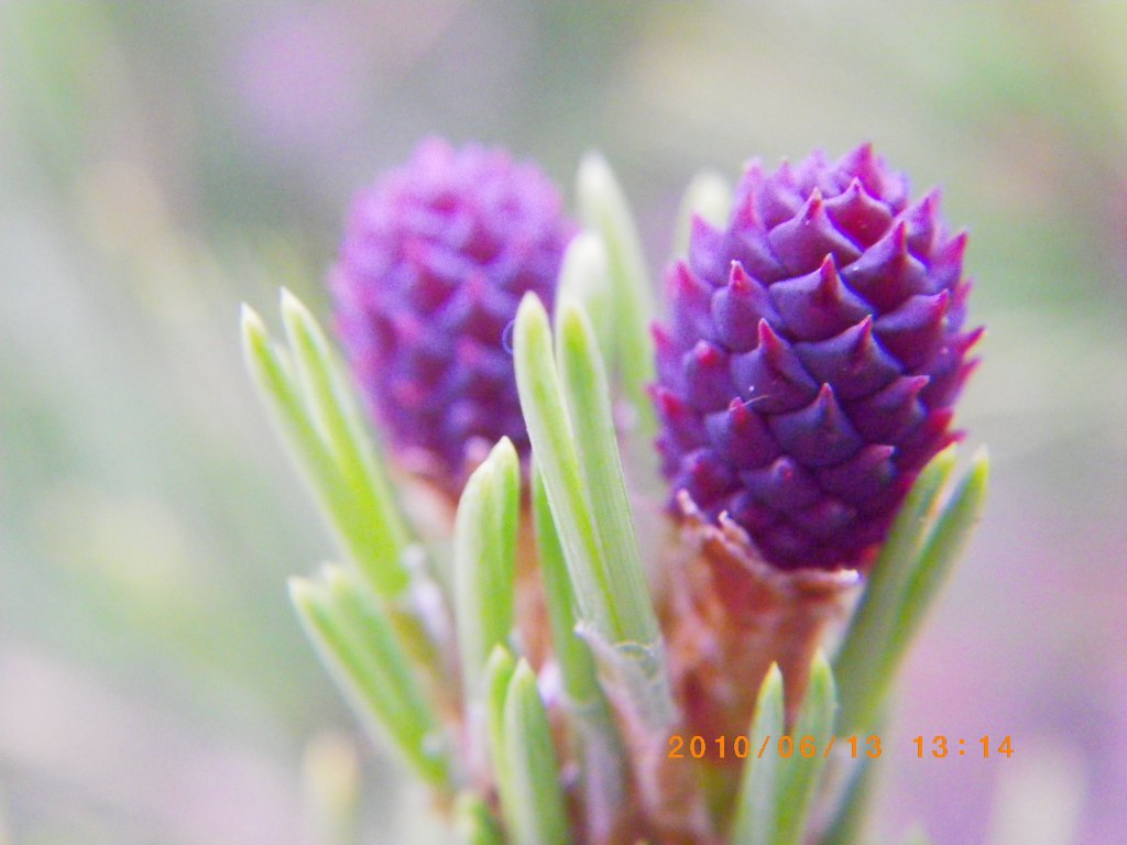 �m�d�s�R�x��h�g�`�k�t�h