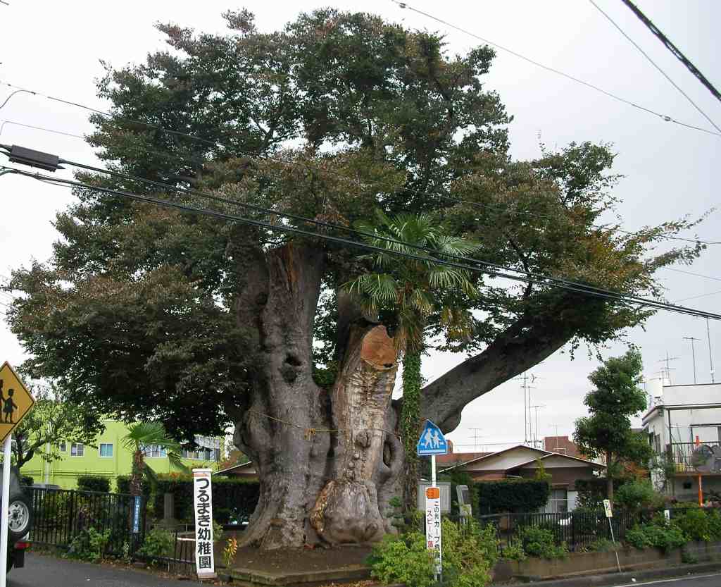 �m�d�s�R�x��h�g�`�k�t�h