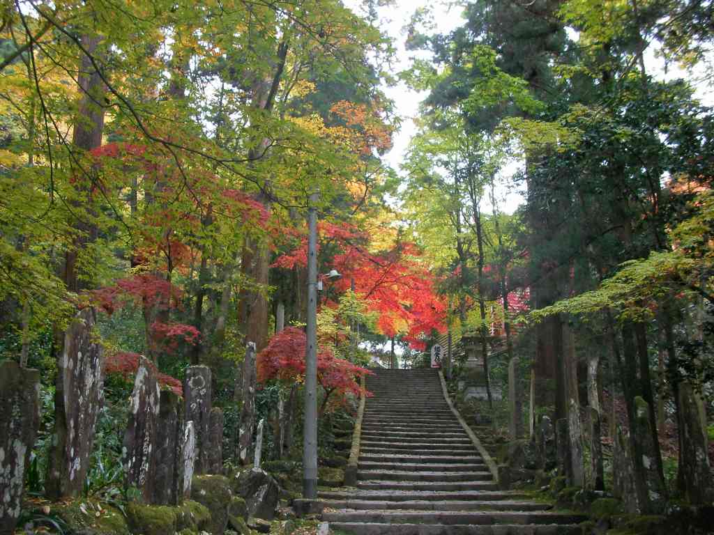 �m�d�s�R�x��h�g�`�k�t�h