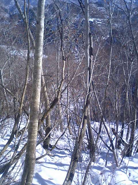 �m�d�s�R�x��h�g�`�k�t�h