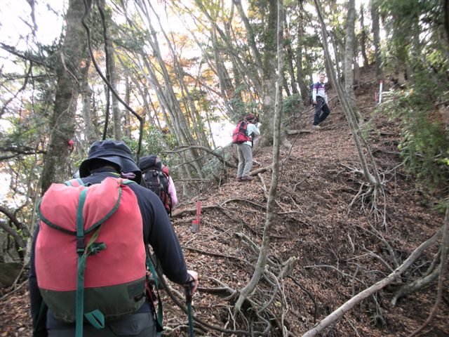 �m�d�s�R�x��h�g�`�k�t�h