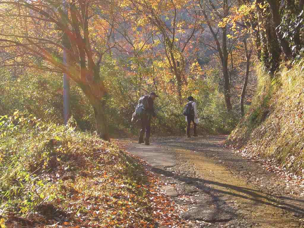 �m�d�s�R�x��h�g�`�k�t�h