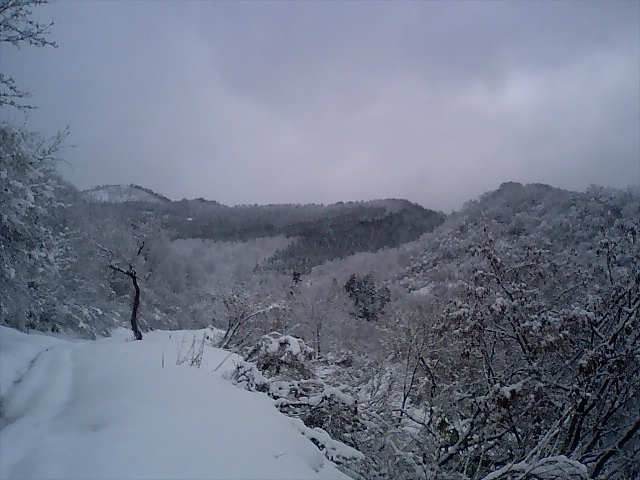 �m�d�s�R�x��h�g�`�k�t�h