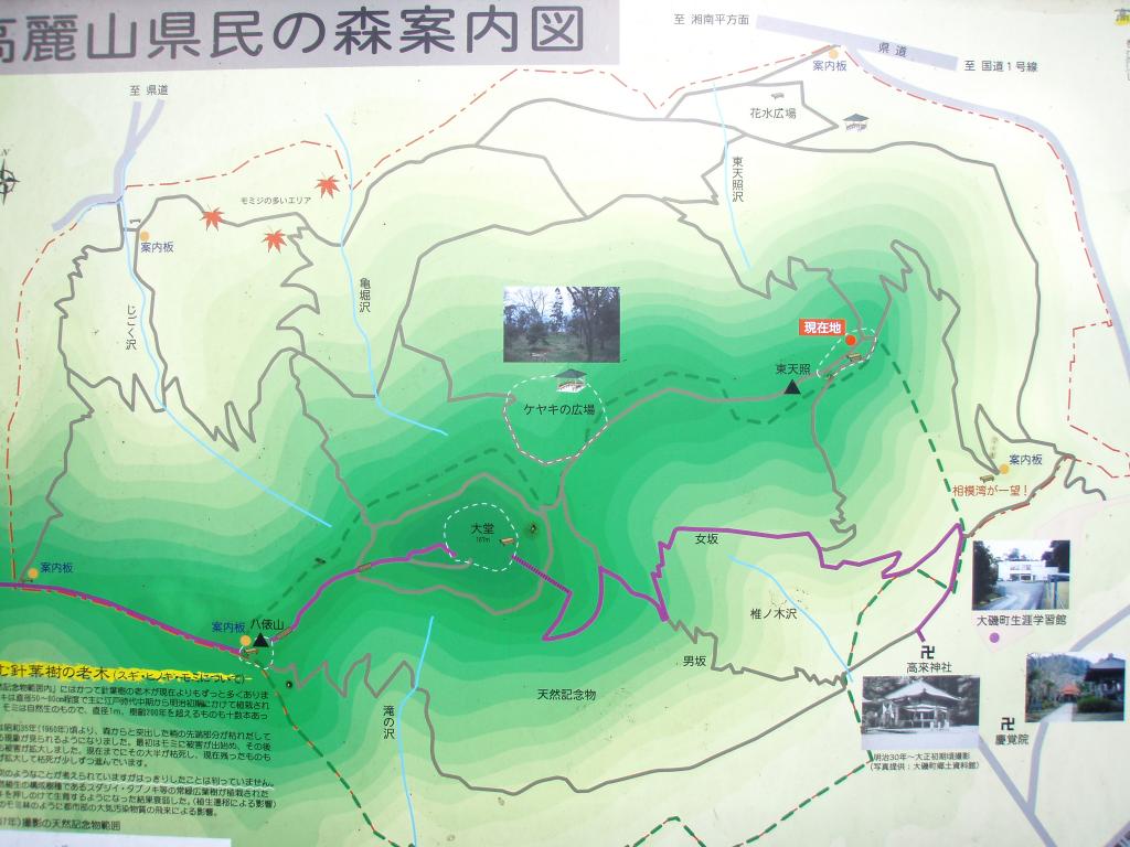 �m�d�s�R�x��h�g�`�k�t�h