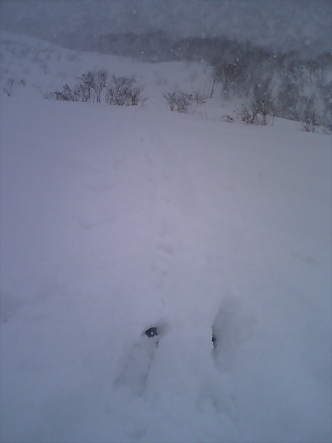 �m�d�s�R�x��h�g�`�k�t�h