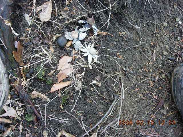 �m�d�s�R�x��h�g�`�k�t�h