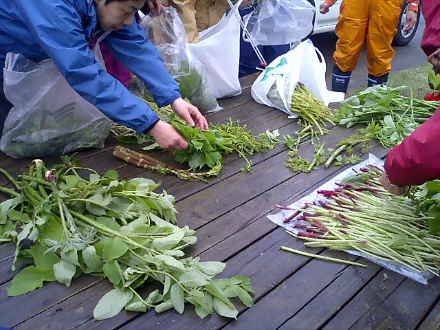 �m�d�s�R�x��h�g�`�k�t�h