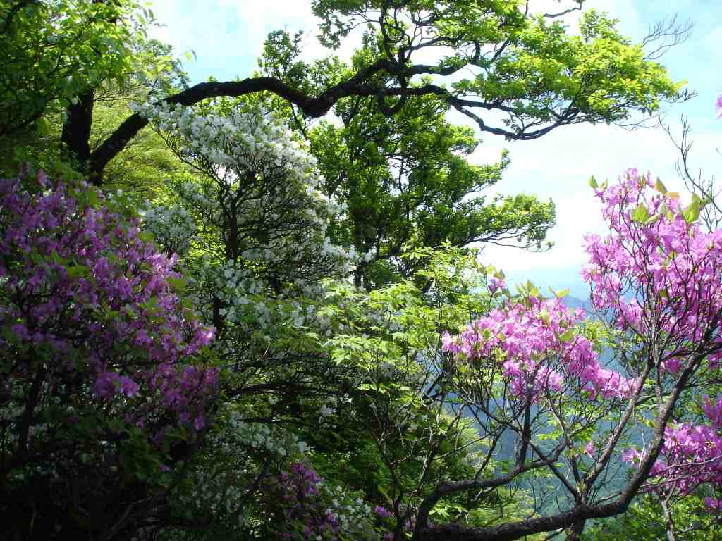 �m�d�s�R�x��h�g�`�k�t�h