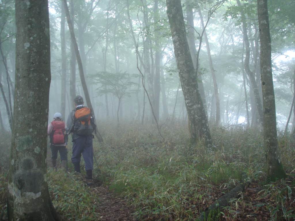 �m�d�s�R�x��h�g�`�k�t�h