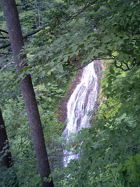 �m�d�s�R�x��h�g�`�k�t�h