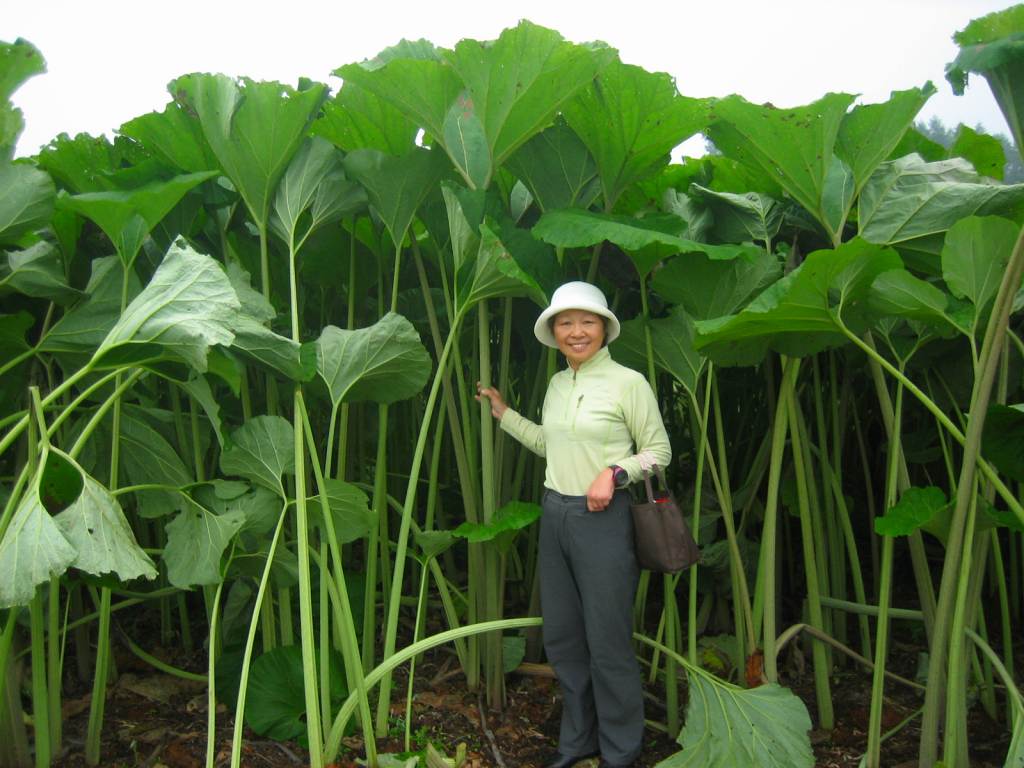 �m�d�s�R�x��h�g�`�k�t�h