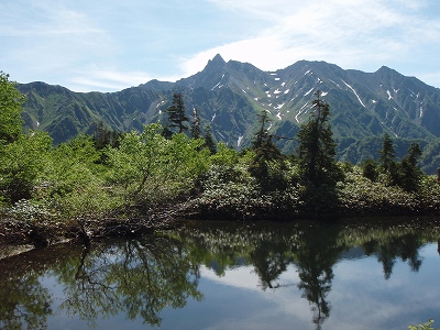 �m�d�s�R�x��h�g�`�k�t�h