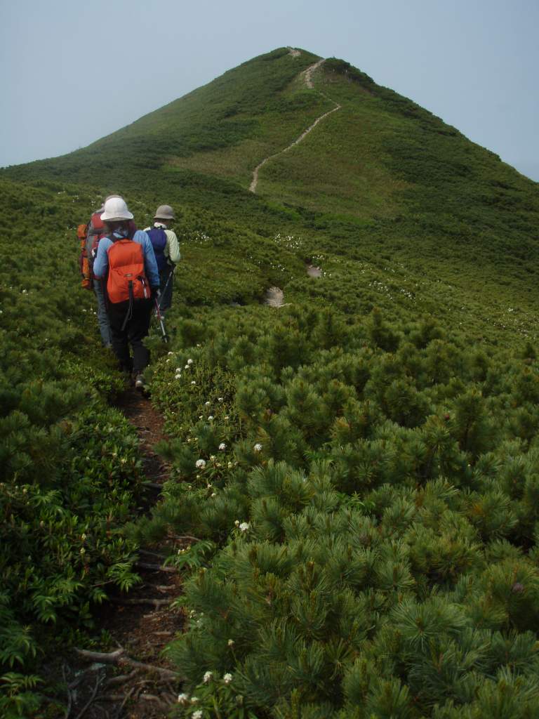 �m�d�s�R�x��h�g�`�k�t�h