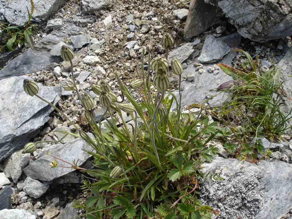 �m�d�s�R�x��h�g�`�k�t�h