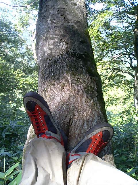 �m�d�s�R�x��h�g�`�k�t�h