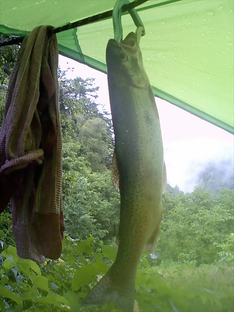 �m�d�s�R�x��h�g�`�k�t�h