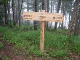 �m�d�s�R�x��h�g�`�k�t�h