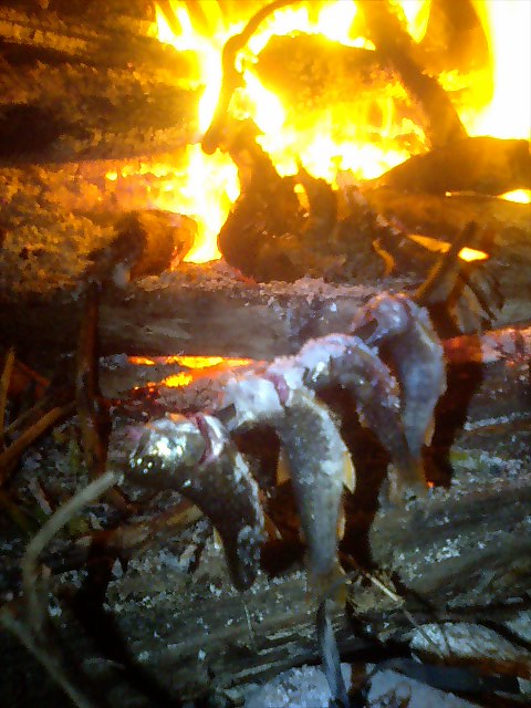 �m�d�s�R�x��h�g�`�k�t�h