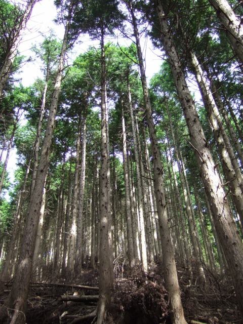 �m�d�s�R�x��h�g�`�k�t�h