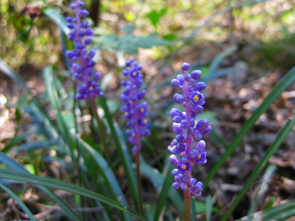 �m�d�s�R�x��h�g�`�k�t�h