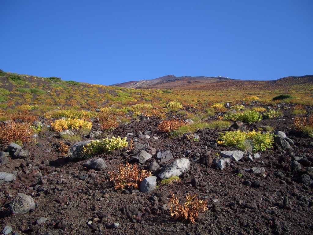 �m�d�s�R�x��h�g�`�k�t�h