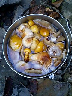 �m�d�s�R�x��h�g�`�k�t�h