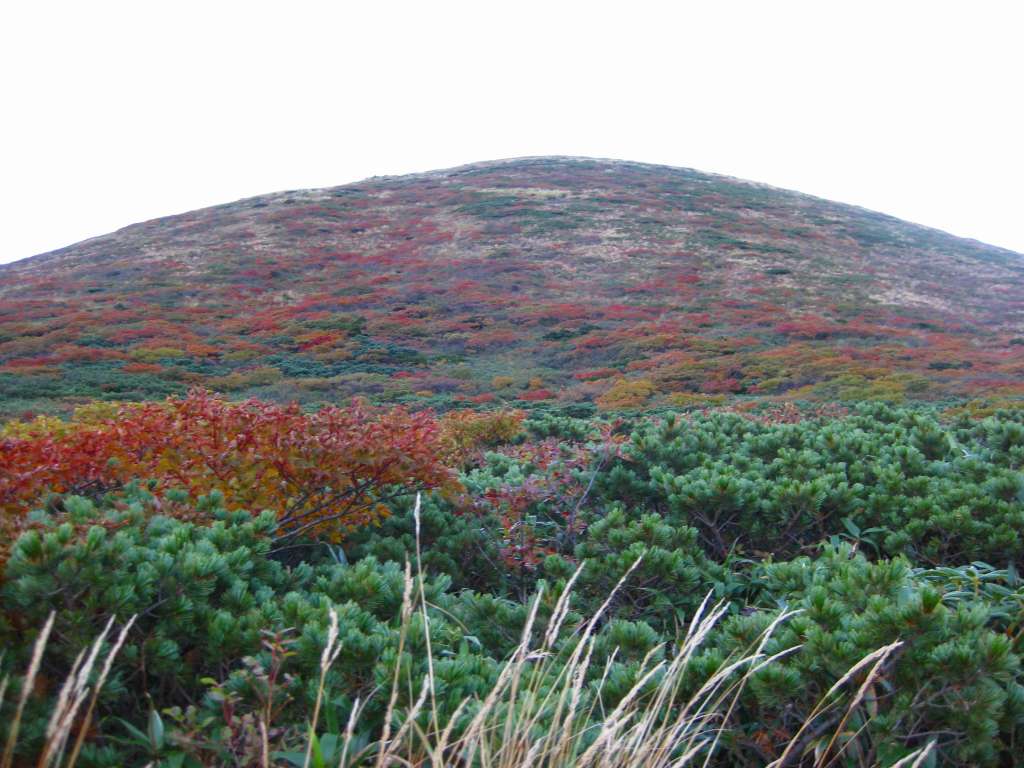 �m�d�s�R�x��h�g�`�k�t�h