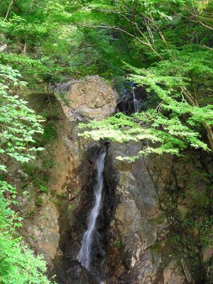 �m�d�s�R�x��h�g�`�k�t�h