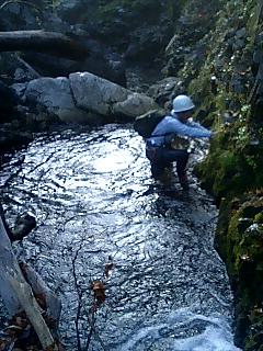 �m�d�s�R�x��h�g�`�k�t�h