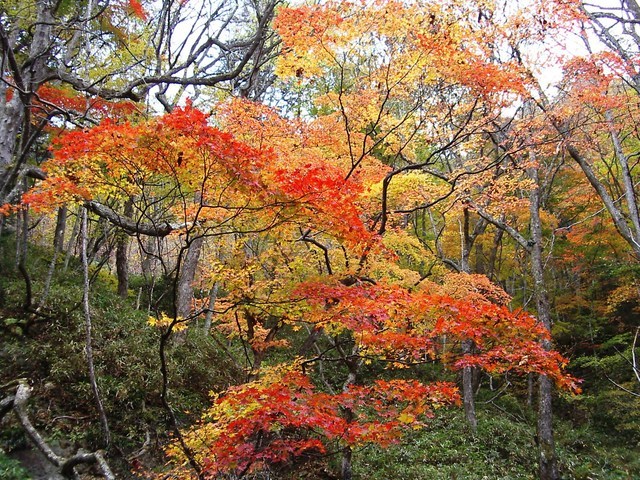 �m�d�s�R�x��h�g�`�k�t�h