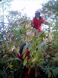 �m�d�s�R�x��h�g�`�k�t�h