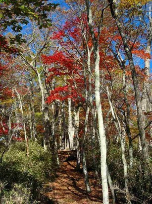 �m�d�s�R�x��h�g�`�k�t�h