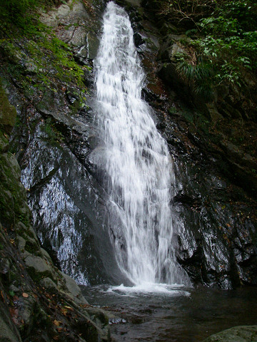 �m�d�s�R�x��h�g�`�k�t�h