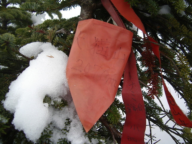 �m�d�s�R�x��h�g�`�k�t�h