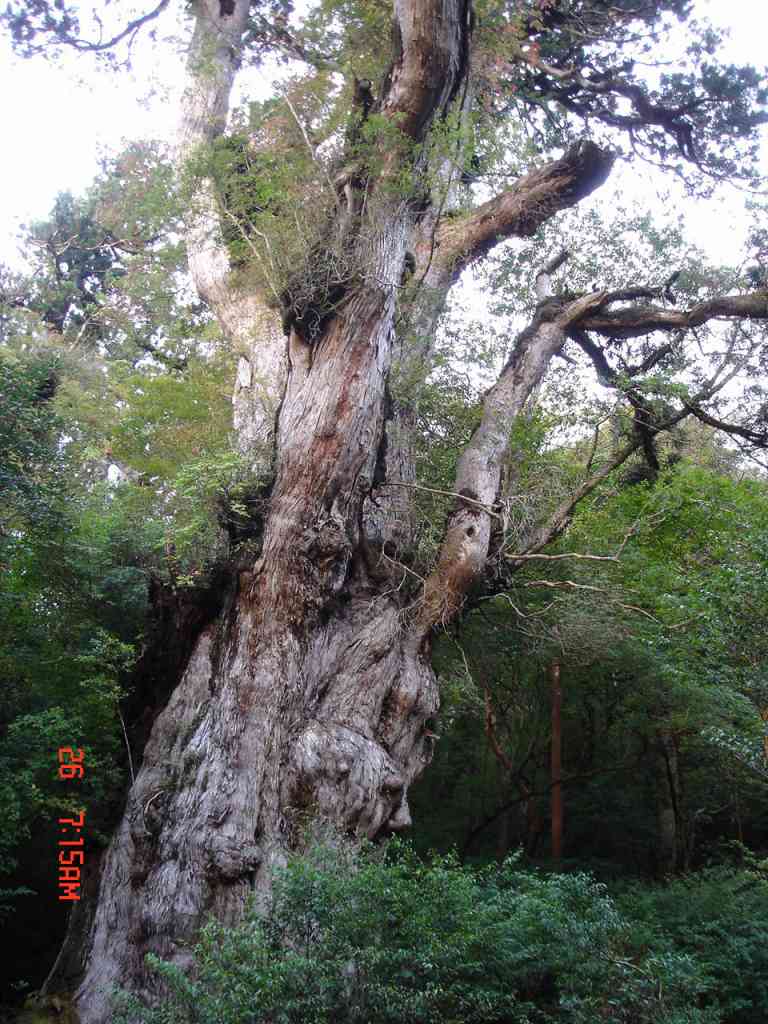 �m�d�s�R�x��h�g�`�k�t�h