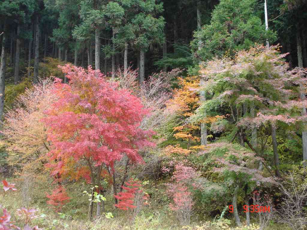 �m�d�s�R�x��h�g�`�k�t�h