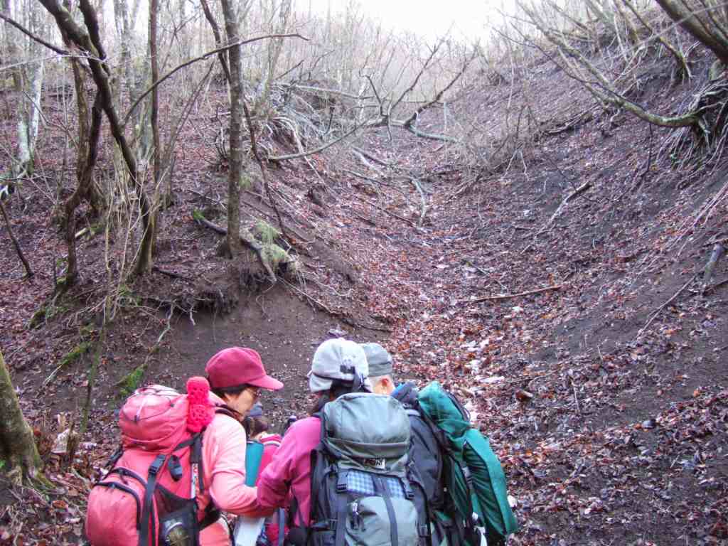 �m�d�s�R�x��h�g�`�k�t�h