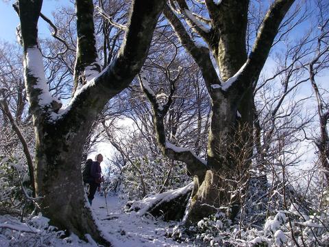 �m�d�s�R�x��h�g�`�k�t�h