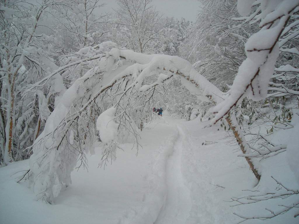 �m�d�s�R�x��h�g�`�k�t�h