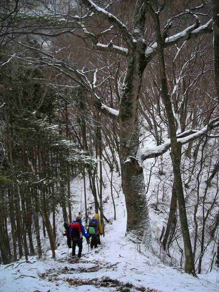 �m�d�s�R�x��h�g�`�k�t�h