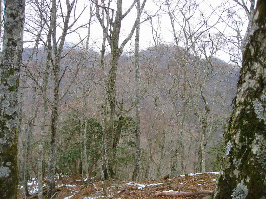 �m�d�s�R�x��h�g�`�k�t�h